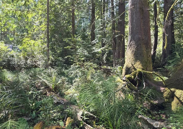 Photo 4 of Land for sale at 100 E Liberty Rd, Shelton, WA 98584 | MLS# NWM2572150 | Listing updated on 2026-09-25