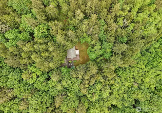 Photo 3 of Single family home for sale at 431 Taison Ln, Quilcene, WA 98376 | MLS# NWM2572751 | Listing updated on 2026-09-23