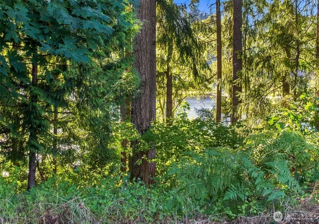 Photo 3 of Single family home for sale at 7027 Munn Lake Dr Se, Tumwater, WA 98501 | MLS# NWM2572816 | Listing updated on 2026-09-25