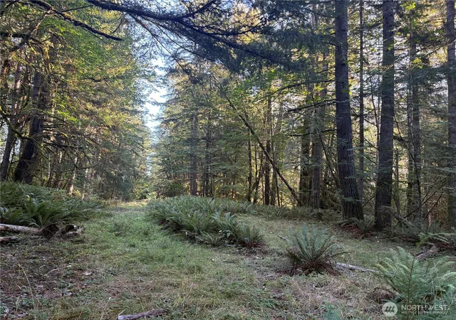 Photo 3 of Sale Pending at 1 Nka Frank Smith Rd, Toutle, WA 98649 | MLS# NWM2573438 | Listing updated on 2026-09-25