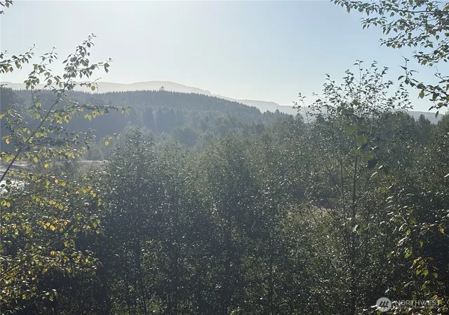 Photo 4 of Sale Pending at 1 Nka Frank Smith Rd, Toutle, WA 98649 | MLS# NWM2573438 | Listing updated on 2026-09-25