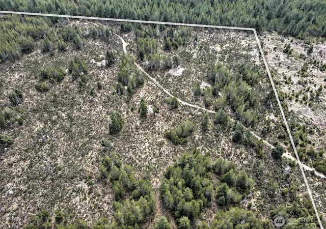 Photo 2 of Land for sale at 0 Xxx E Melissa Ln, Shelton, WA 98584 | MLS# NWM2573554 | Listing updated on 2026-09-25