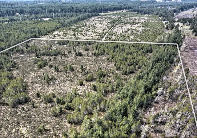 Photo 3 of Land for sale at 0 Xxx E Melissa Ln, Shelton, WA 98584 | MLS# NWM2573554 | Listing updated on 2026-09-25