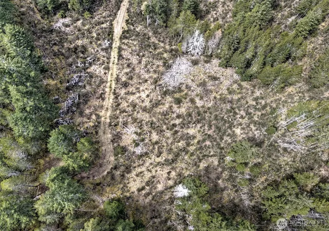 Photo 3 of Land for sale at 0 Xxx E Melissa Ln, Shelton, WA 98584 | MLS# NWM2573554 | Listing updated on 2026-09-25