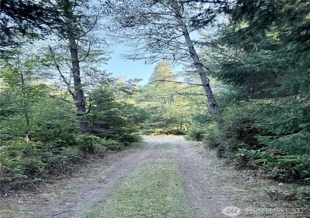 Photo 3 of Land for sale at 28310 Y Ln, Ocean Park, WA 98640 | MLS# NWM2574292 | Listing updated on 2026-09-21
