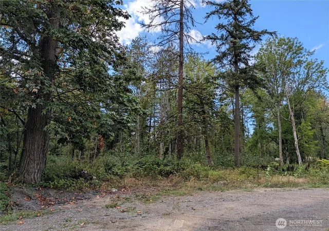 Photo 2 of Land for sale at 0 49 Avenue S, Auburn, WA 98001 | MLS# NWM2574639 | Listing updated on 2026-09-25