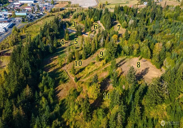 Photo 4 of Land for sale at 1824 Salzer Crk Dr, Centralia, WA 98531 | MLS# NWM2575192 | Listing updated on 2026-09-25