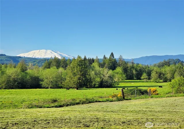 Photo 3 of Single family home for sale at 39827 Ne Gerber Mckee Rd, Amboy, WA 98601 | MLS# NWM2575510 | Listing updated on 2026-09-24