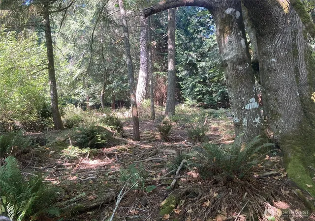 Photo 2 of Land for sale at 10919 Riviera Dr, Anderson Island, WA 98303 | MLS# NWM2575800 | Listing updated on 2026-09-24