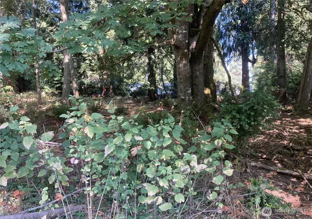 Photo 3 of Land for sale at 10919 Riviera Dr, Anderson Island, WA 98303 | MLS# NWM2575800 | Listing updated on 2026-09-24