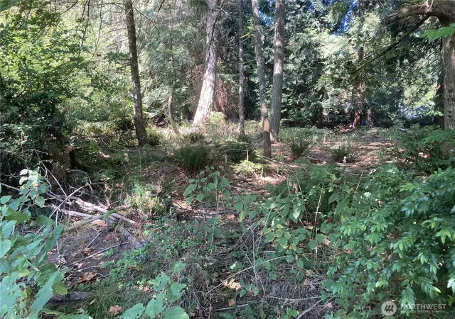 Photo 3 of Land for sale at 10919 Riviera Dr, Anderson Island, WA 98303 | MLS# NWM2575800 | Listing updated on 2026-09-24