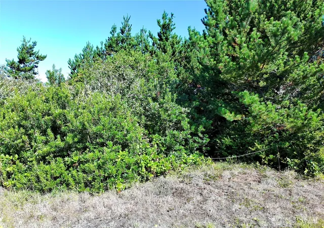 Photo 2 of Land for sale at 362 King Cyrus Loop Sw, Ocean Shores, WA 98569 | MLS# NWM2575899 | Listing updated on 2026-09-25