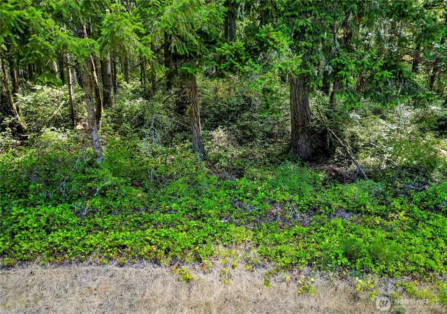 Photo 1 of Land for sale at 10205 Eckenstam Johnson Rd, Anderson Island, WA 98303 | MLS# NWM2576087 | Listing updated on 2026-09-25