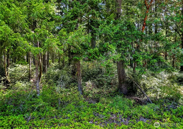 Photo 2 of Land for sale at 10205 Eckenstam Johnson Rd, Anderson Island, WA 98303 | MLS# NWM2576087 | Listing updated on 2026-09-25