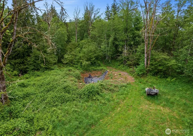 Photo 2 of Land for sale at 0 X Salmon Crk Rd, Mossyrock, WA 98564 | MLS# NWM2576133 | Listing updated on 2026-09-25