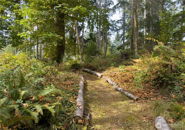 Photo 3 of Manufactured home for sale at 2197 Parker Rd, Camano Island, WA 98282 | MLS# NWM2577511 | Listing updated on 2026-10-03