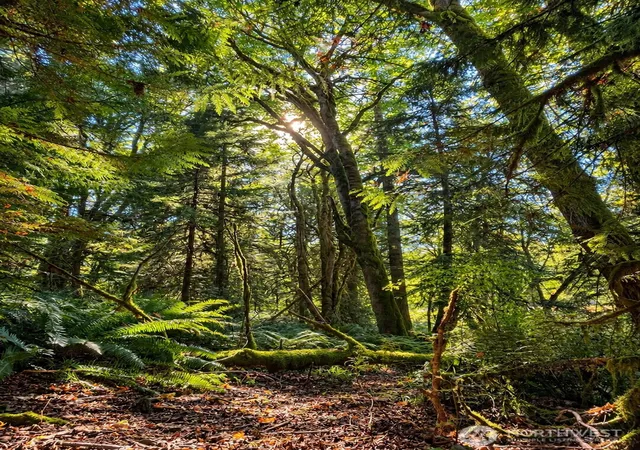 Land for sale at 4780 E Indiana St, Port Orchard, WA 98366 | MLS# NWM2577987