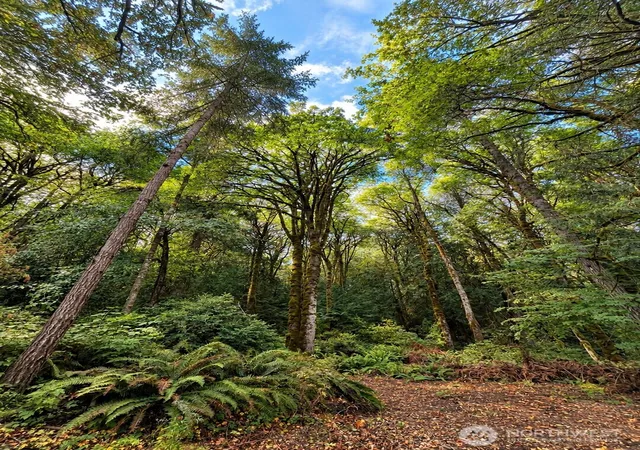 Photo 2 of Land for sale at 4780 E Indiana St, Port Orchard, WA 98366 | MLS# NWM2577987 | Listing updated on 2026-09-22