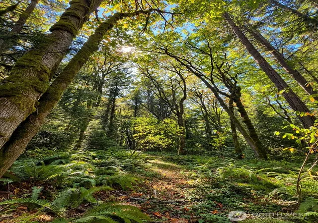 Photo 3 of Land for sale at 4780 E Indiana St, Port Orchard, WA 98366 | MLS# NWM2577987 | Listing updated on 2026-09-22