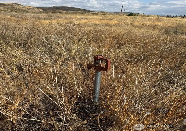 Photo 3 of Land for sale at 0 17 & 18 Grey Goose Rd, Omak, WA 98841 | MLS# NWM2578048 | Listing updated on 2026-09-29
