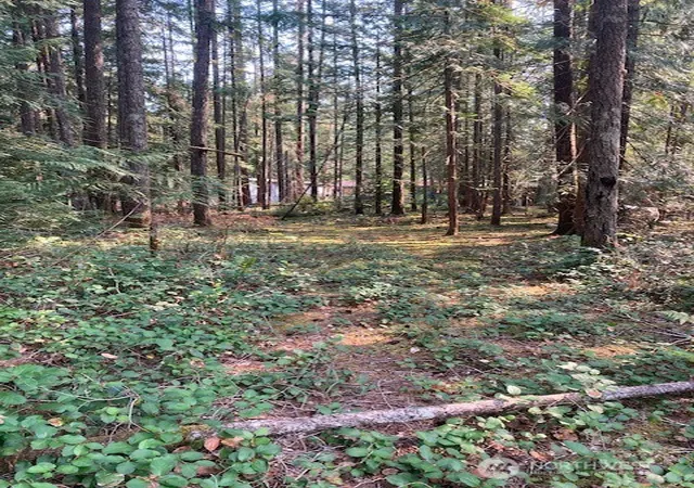 Photo 1 of Land for sale at 180 N Union Dr, Hoodsport, WA 98548 | MLS# NWM2578584 | Listing updated on 2026-09-25