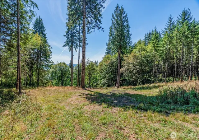 Photo 3 of Land for sale at 0 Old Tree Farm Dr #C, Longview, WA 98632 | MLS# NWM2578883 | Listing updated on 2026-10-01