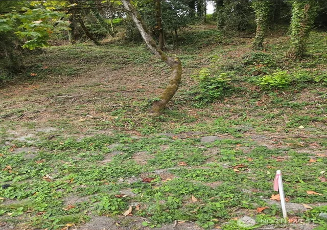 Photo 4 of Land for sale at 7 Xx Rainier Ave N, Renton, WA 98057 | MLS# NWM2578969 | Listing updated on 2026-09-16