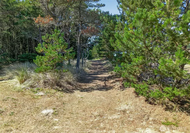 Photo 3 of Single family home for sale at 1208 228th, Ocean Park, WA 98640 | MLS# NWM2579119 | Listing updated on 2026-10-16