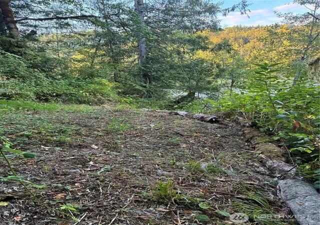 Photo 3 of Land for sale at 3 Mt Index River Rd, Gold Bar, WA 98251 | MLS# NWM2579395 | Listing updated on 2026-09-25