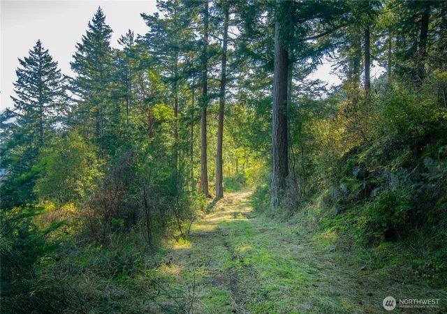 Photo 2 of Land for sale at 1130 Island Dr, Lummi Island, WA 98262 | MLS# NWM2579548 | Listing updated on 2026-09-25