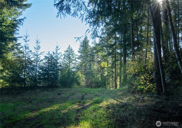 Photo 3 of Land for sale at 1130 Island Dr, Lummi Island, WA 98262 | MLS# NWM2579548 | Listing updated on 2026-09-25