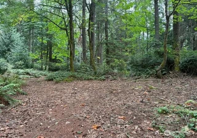 Photo 3 of Land for sale at 0 Albright Ave SE, Port Orchard, WA 98366 | MLS# NWM2579589 | Listing updated on 2026-09-25