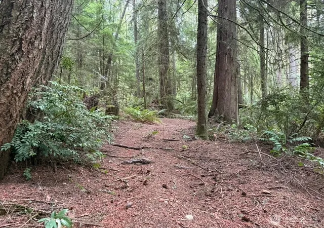 Photo 4 of Land for sale at 0 Albright Ave SE, Port Orchard, WA 98366 | MLS# NWM2579589 | Listing updated on 2026-09-25
