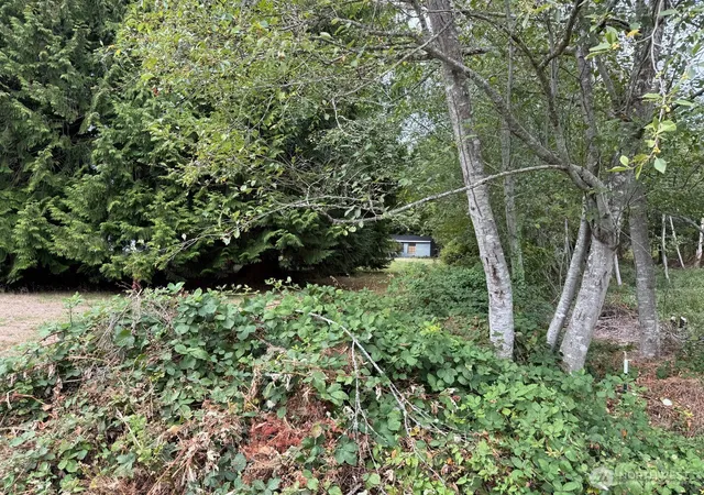 Photo 3 of Land for sale at 12528 NE Philip Dr, Kingston, WA 98346 | MLS# NWM2580434 | Listing updated on 2026-09-25