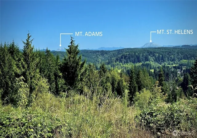 Photo 3 of Land for sale at 170 Sawall Ave, Centralia, WA 98531 | MLS# NWM2580436 | Listing updated on 2026-09-25