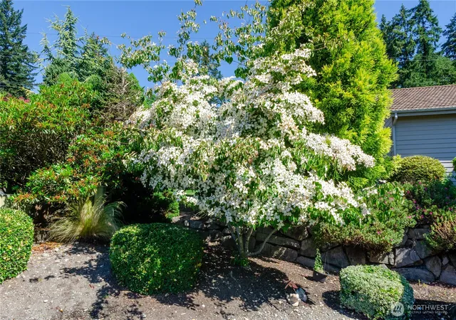 Photo 4 of Condo for sale at 7411 71st Avenue Ct SW, Lakewood, WA 98498 | MLS# NWM2580707 | Listing updated on 2026-09-25