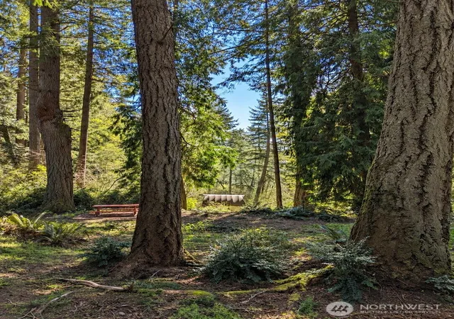 Photo 3 of Land for sale at 12204 Sound Dr, Anderson Island, WA 98303 | MLS# NWM2580818 | Listing updated on 2026-09-25