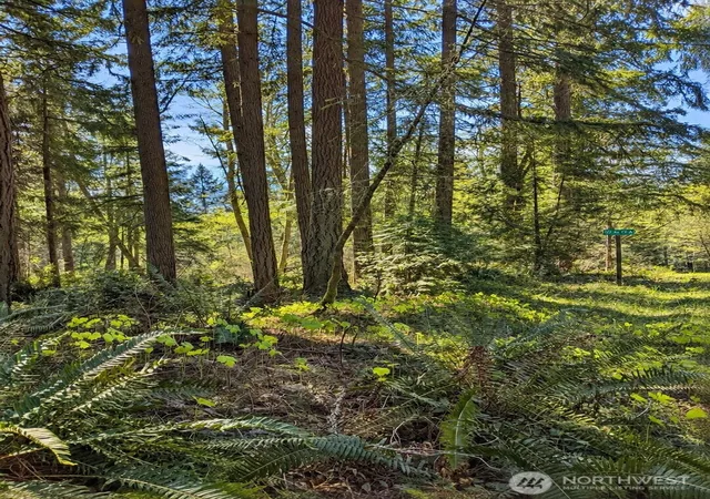Photo 3 of Land for sale at 12204 Sound Dr, Anderson Island, WA 98303 | MLS# NWM2580818 | Listing updated on 2026-09-25