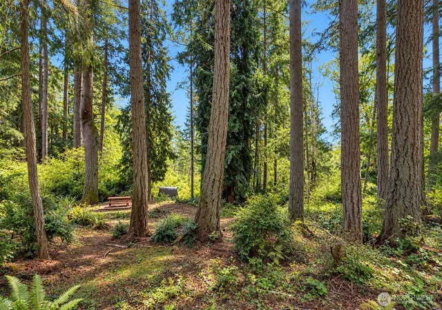 Photo 4 of Land for sale at 12204 Sound Dr, Anderson Island, WA 98303 | MLS# NWM2580818 | Listing updated on 2026-09-25