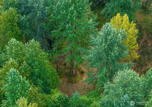 Photo 4 of Land for sale at 0 Sr 706 E, Elbe, WA 98330 | MLS# NWM2580900 | Listing updated on 2026-09-25