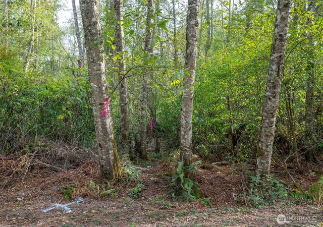 Photo 4 of Land for sale at 0 Nhn Harmony Rd, Oak Harbor, WA 98277 | MLS# NWM2580902 | Listing updated on 2026-09-25