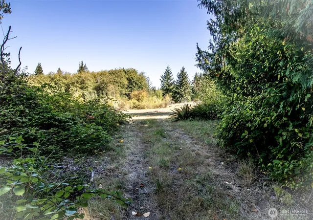 Photo 3 of Land for sale at 243043 Highway 101, Port Angeles, WA 98363 | MLS# NWM2580986 | Listing updated on 2026-09-25