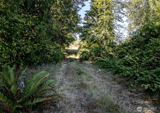 Photo 4 of Land for sale at 243043 Highway 101, Port Angeles, WA 98363 | MLS# NWM2580986 | Listing updated on 2026-09-25