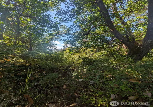 Photo 2 of Land for sale at 28800 97th Avenue Sw, Vashon, WA 98070 | MLS# NWM2581241 | Listing updated on 2026-09-24