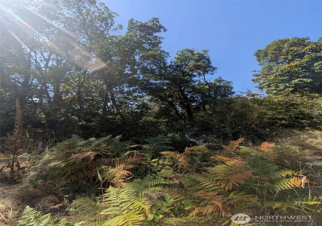 Photo 3 of Land for sale at 28800 97th Avenue Sw, Vashon, WA 98070 | MLS# NWM2581241 | Listing updated on 2026-09-24