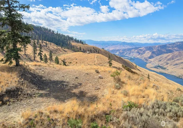 Land for sale at 0 Melvin Rd #Lot 8, Waterville, WA 98858 | MLS# NWM2581392