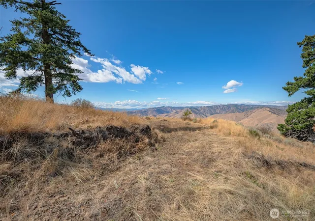 Photo 1 of Land for sale at 0 Melvin Rd #Lot 8, Waterville, WA 98858 | MLS# NWM2581392 | Listing updated on 2026-09-25