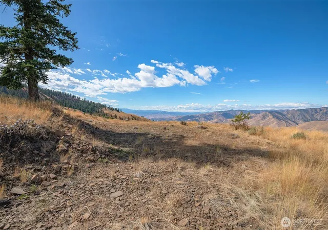 Photo 3 of Land for sale at 0 Melvin Rd #Lot 8, Waterville, WA 98858 | MLS# NWM2581392 | Listing updated on 2026-09-25