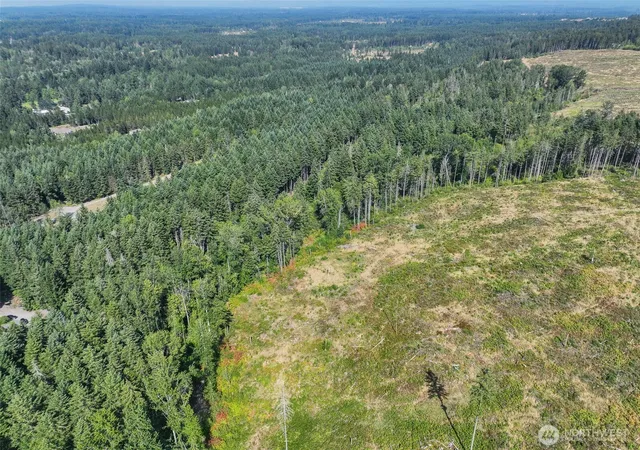 Photo 4 of Land for sale at 0 369th Street E, Roy, WA 98580 | MLS# NWM2581753 | Listing updated on 2026-09-16