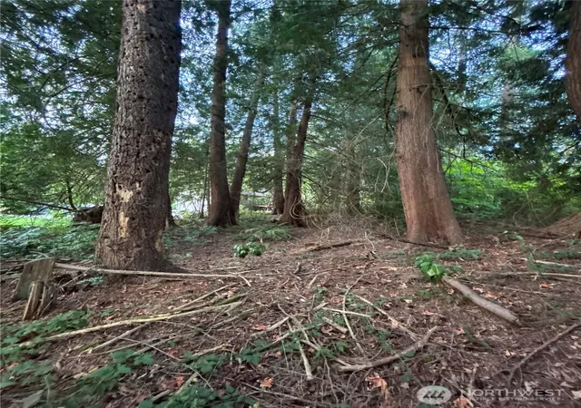 Photo 2 of Land for sale at 0 Xxxxx 25th Ave Se, Everett, WA 98208 | MLS# NWM2581778 | Listing updated on 2026-09-25